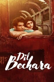 Dil Bechara 2020 on netflix
