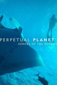 Perpetual Planet: Heroes of the Oceans 2021 on netflix