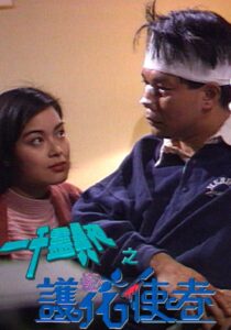 一千靈異夜之護花使者 1992 on netflix