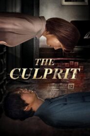 The Culprit 2019 on netflix