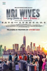 NRI Wives 2023 on netflix