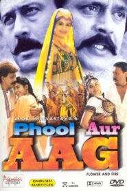 Phool Aur Aag 1999 on netflix