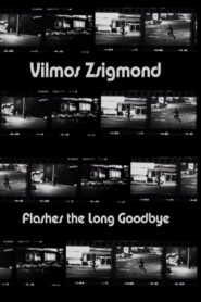 Vilmos Zsigmond Flashes ‘The Long Goodbye’ 2002 on netflix