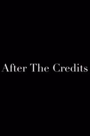 After the Credits 2010 on netflix