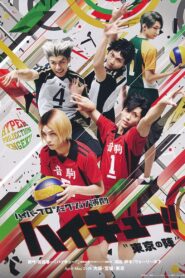 Hyper Projection Play “Haikyuu!!” The Tokyo Match 2019 on netflix