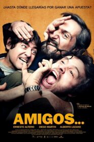Amigos… 2011 on netflix