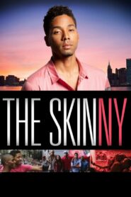 The Skinny 2012 on netflix