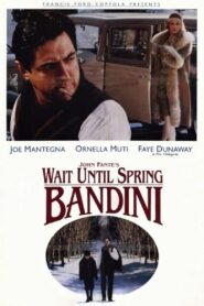Wait Until Spring, Bandini 1989 on netflix
