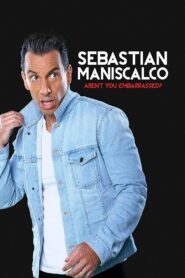 Sebastian Maniscalco: Aren’t You Embarrassed? 2014 on netflix
