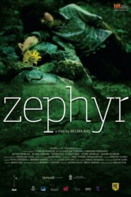 Zephyr 2010 on netflix
