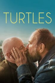 Turtles 2024 on netflix