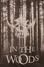 In the Woods 1999 on netflix