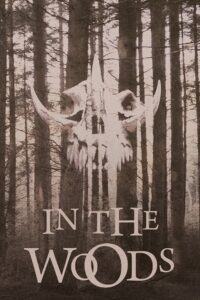 In the Woods 1999 on netflix