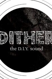 Dither: The D.I.Y. Sound 2013 on netflix