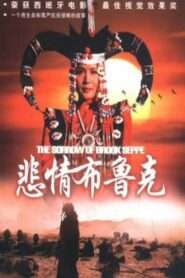 The Sorrow of Brook Steppe 1995 on netflix