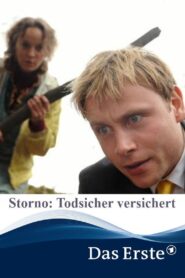 Storno: Todsicher versichert 2015 on netflix