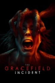 The Gracefield Incident 2017 on netflix