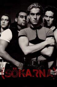 The Searchers 1993 on netflix