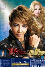 Like a Black Panther / Dear DIAMOND!! -The Eternal Brilliance of 101 Carats- 2015 on netflix