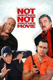 Not Another Not Another Movie 2011 on netflix
