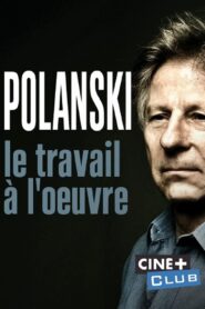 Polanski, le travail à l’oeuvre 2019 on netflix