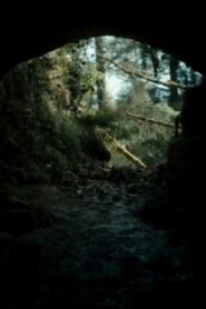 The Beast 2013 on netflix