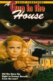 A Gun in the House 1981 on netflix