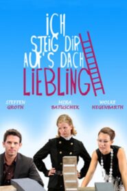 Ich steig dir aufs Dach, Liebling 2009 on netflix