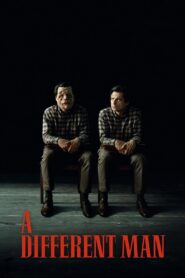 A Different Man 2024 on netflix