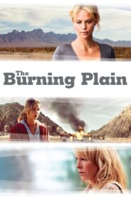 The Burning Plain 2008 on netflix