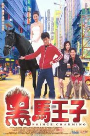 Prince Charming 1999 on netflix