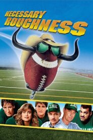 Necessary Roughness 1991 on netflix