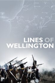 Lines of Wellington 2012 on netflix
