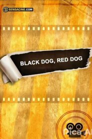 Black Dog, Red Dog 2015 on netflix