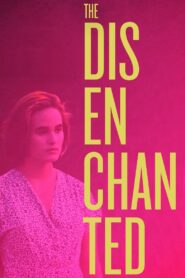 The Disenchanted 1990 on netflix
