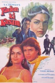 Yadon Ki Kasam 1985 on netflix
