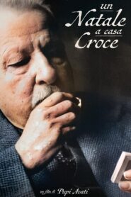 Un Natale a casa Croce 2024 on netflix