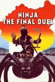 Ninja the Final Duel 1986 on netflix