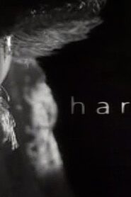 Harvey 2002 on netflix