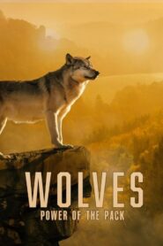 Wolves: Power of the Pack 2022 on netflix