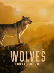 Wolves: Power of the Pack 2022 on netflix
