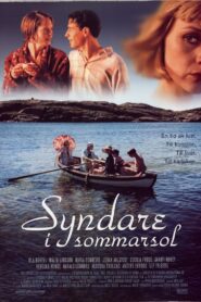Syndare i sommarsol 2001 on netflix