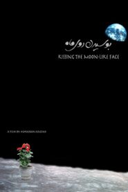Kissing the Moon-Like Face 2012 on netflix