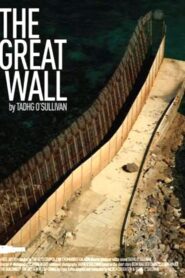 The Great Wall 2015 on netflix