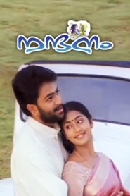 Nandanam 2002 on netflix
