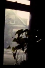 Windows 1984 on netflix