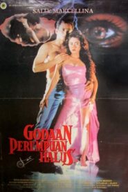 The Temptation of a Fine Woman 1993 on netflix