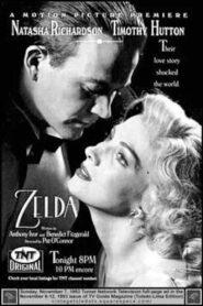 Zelda 1993 on netflix
