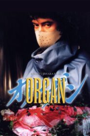 Organ 1996 on netflix