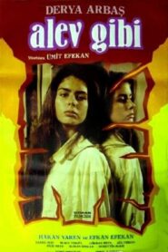 Alev Gibi 1986 on netflix